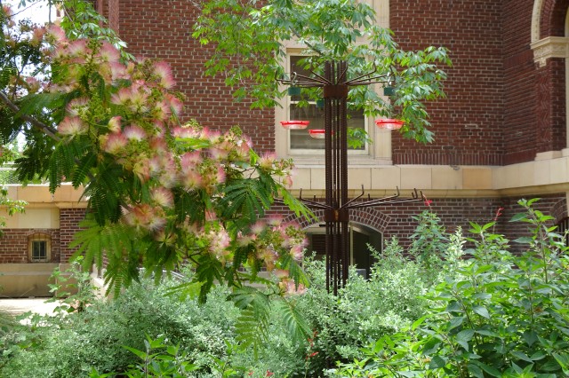 Hummingbird feeders installed in the Nature Gardens