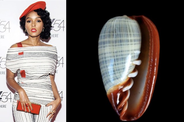 Janelle Monae as Cryptospira elegans 