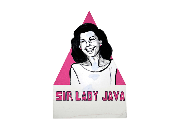 Sir Lady Java with pink triangle background