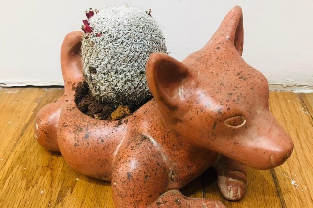 Colima Dog planter