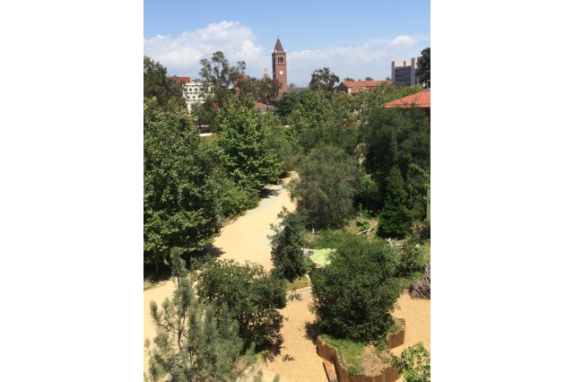 NHM&#039;s Nature Gardens with many trees