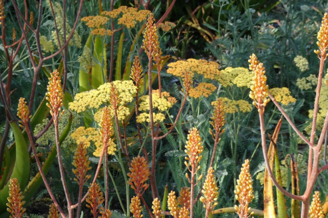 Image of the Nature Gardens