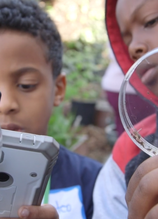 Two kids hold up petri dishes. One kid uses a cell phone to take a photograph of an insect inside of the petri dish. 