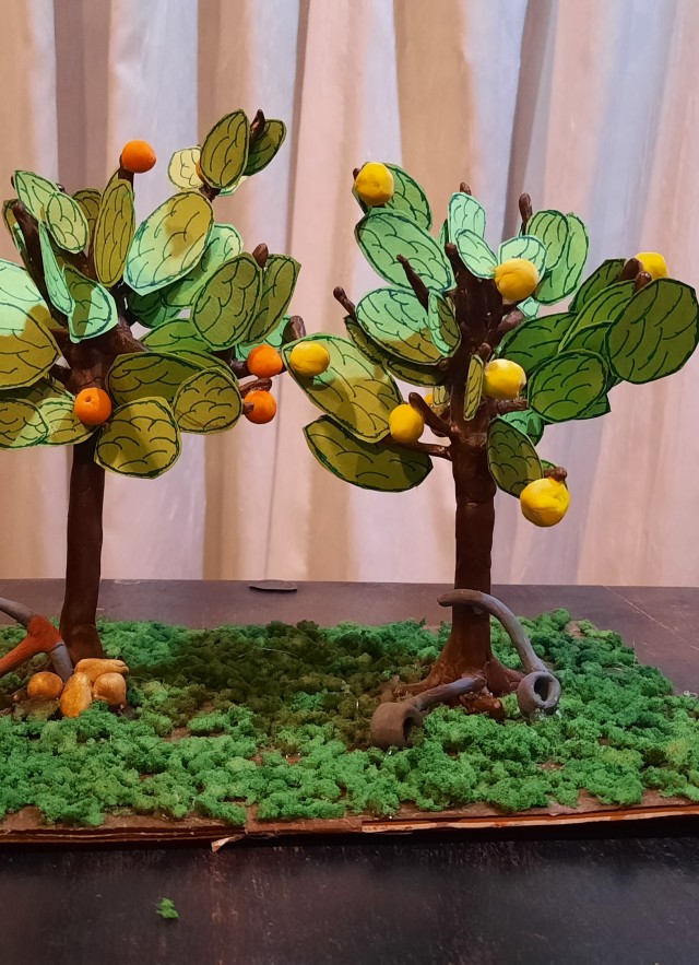 Nia&#039;s object, a lemon and orange tree