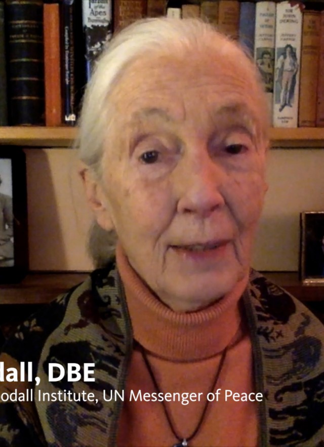 Dr. Jane Goodall