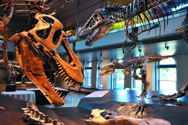 Photograph of the Dino Hall exhibit