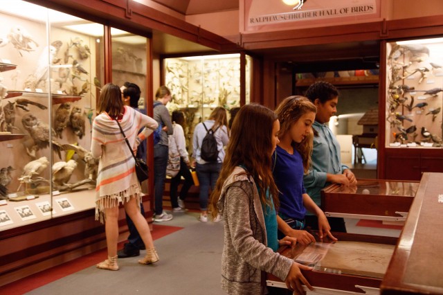 Girls looking in a drawer at a fossil as a couple in background looks at birds in case