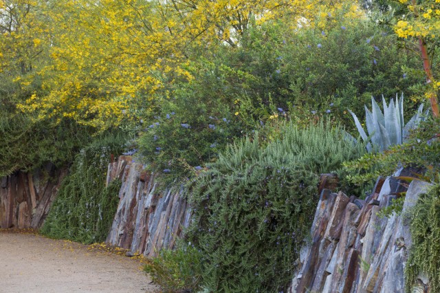 image of wall of bushes and flowers