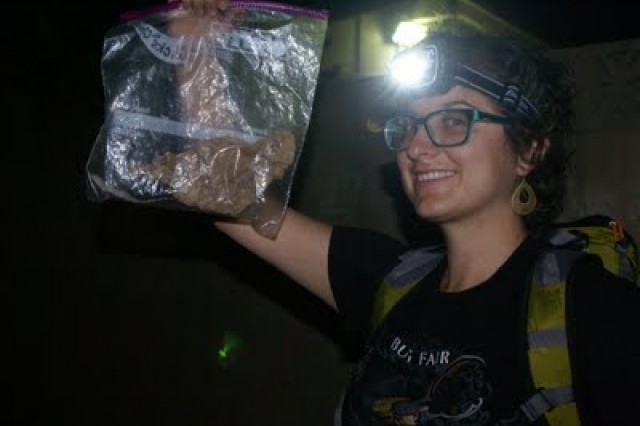 Bag, Gecko,Headlight, Community science