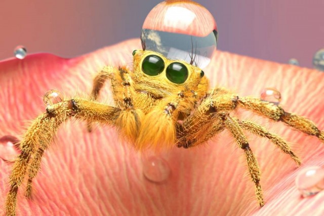 3D, Fictitious, spider, arachnid