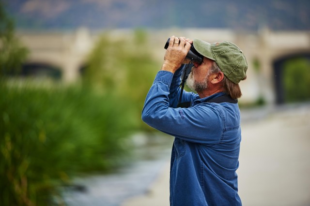 KG Checking for BIRDS!