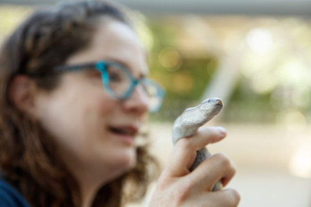 Our Live Animal Care Staff are holding a rosy boa in a school group presentation