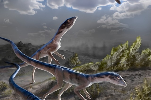 212 million years ago, in what is now Ghost Ranch, New Mexico, a group of Dromomeron romeri pause for a drink while several pterosaurs, now known to be their close evolutionary relatives, fly overhead. Image by Stephanie Abramowicz, Dinosaur Institute, NHMLAC