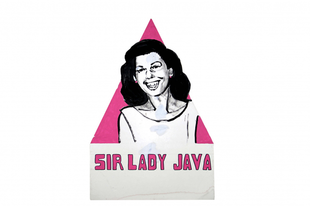 Sir Lady Java with pink triangle background