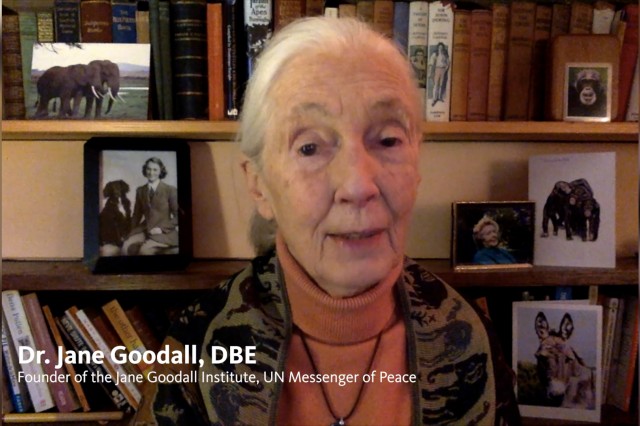 Dr. Jane Goodall