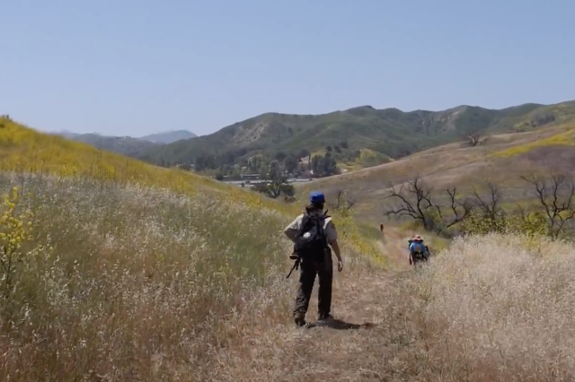 Liberty Canyon Bioblitz featured image