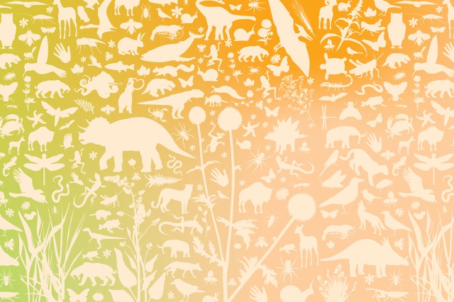 Biodiversity Week 2022 Header Image