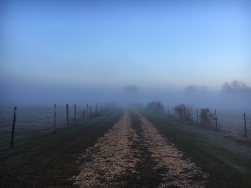 A trail from Iris' childhood in Tuscaloosa, AL. 