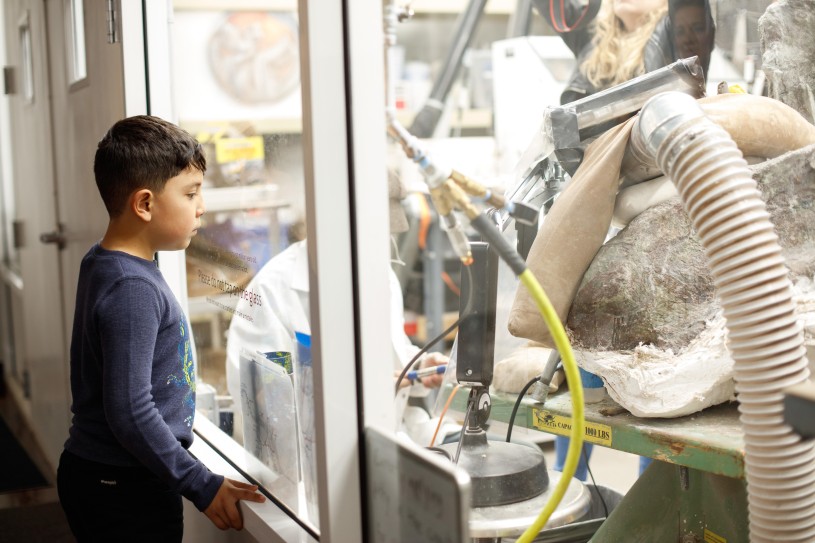 child looking in through window to dino lab