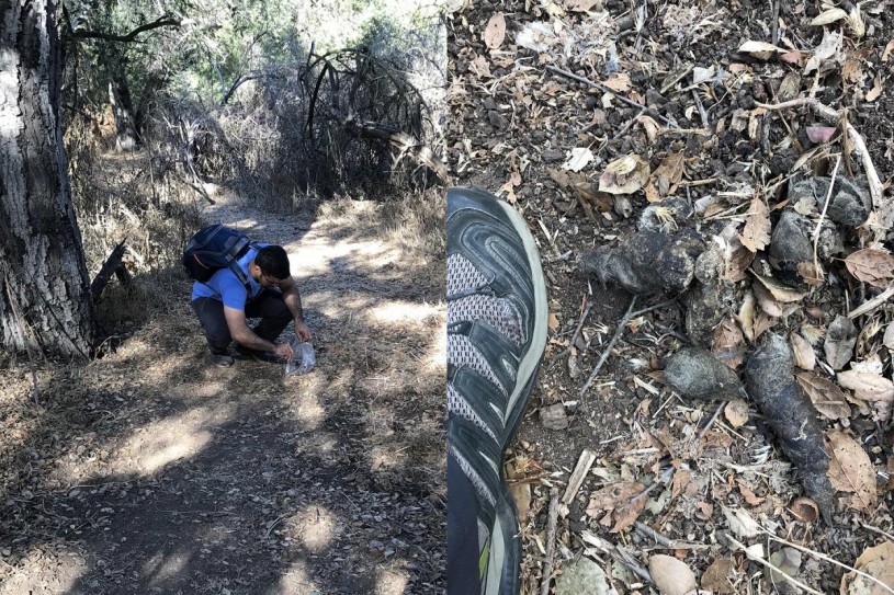 Me collecting scat (that I kept in my freezer). Photo by my extremely supportive and patient wife, Keymi Ordeñana.