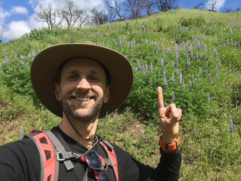 Casey checks out some lupines during a spring bloom event