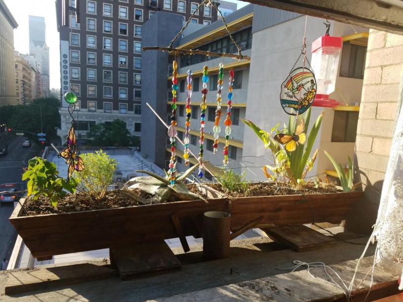 open window of apartment with a flowers in a planter