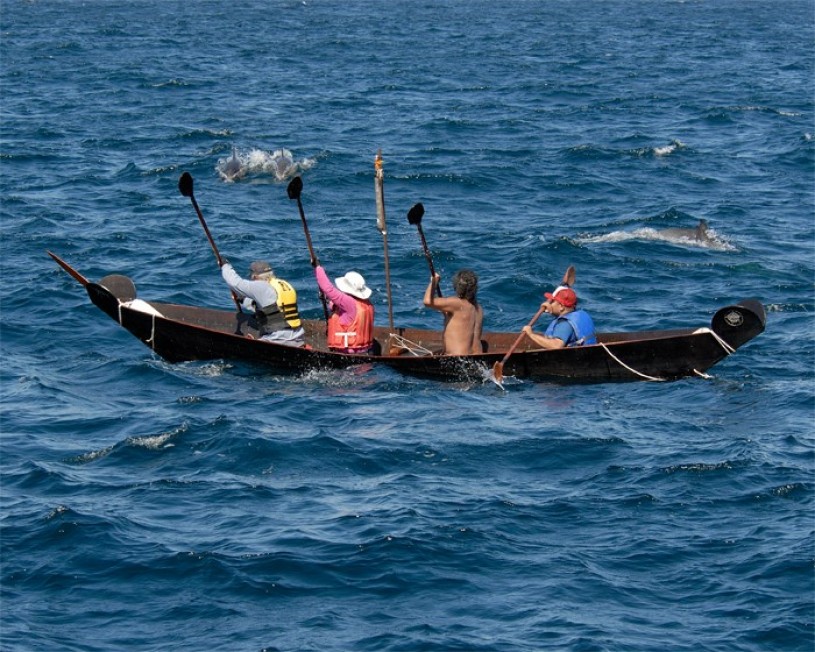 Alan sits at the front of the Tomol and paddles with the dolphins.