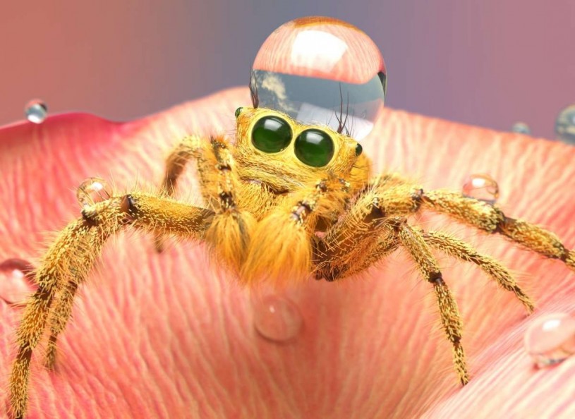 rendering, nonscientific, spider, arachnid