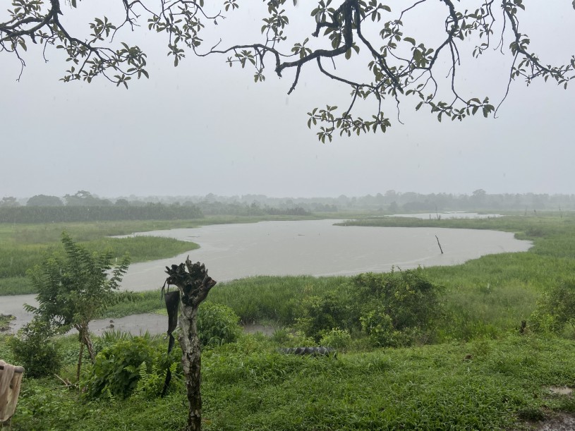 A rainy collecting day in Costa Rica.