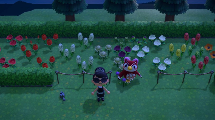 garden girls animal crossing