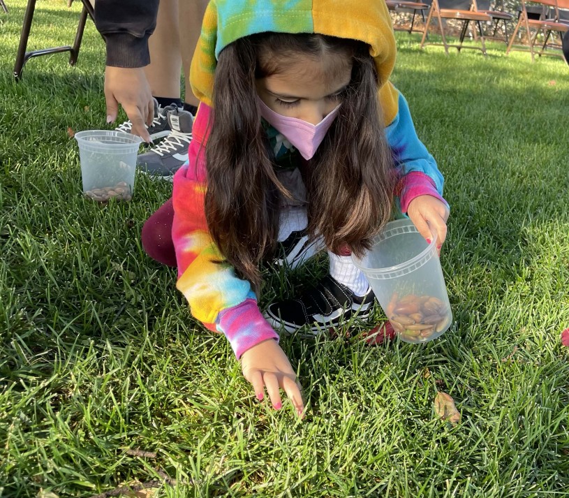 Acorn Harvest 2 girl acorn gathering