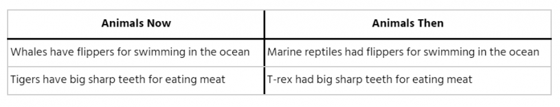 An example T-Chart with 2 columns: Animals Now & Animals Then