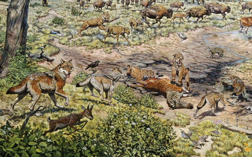 Equid kill Hallett Mural Crop