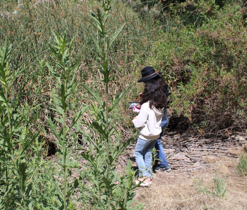 two people make an offering 