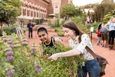 Photo of visitors looking at plants in the Nature Gardens at NHM