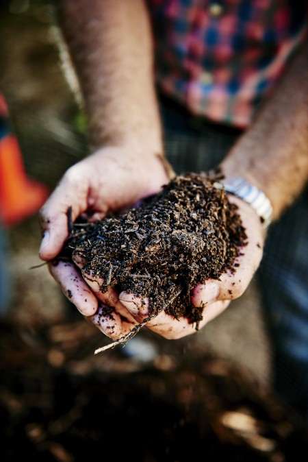 hands holding soil and compost 