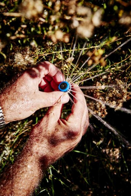 Image of hands holding a sprinkler