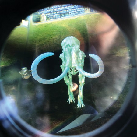 ar image of mammoth 