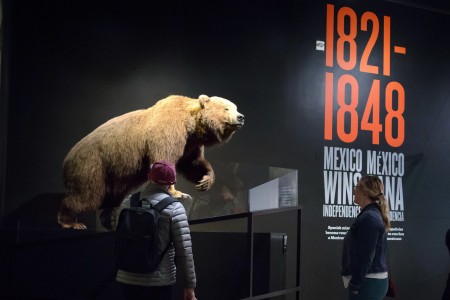 grizzly bear in becoming los angeles