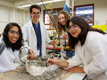 Four Interns in white lab coats gather around a dinosaur fossil 